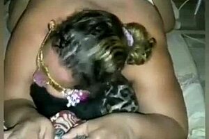 hairy latina's fat ass ripped open and filled with hot cum load