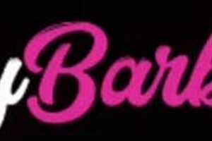 Fiquei Cheia De Tesão Na Balada E Dei Rapidinha No Banheiro Com Latina Maid