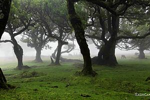 Blonde Milf's Natural Tits Bounce Wild In Bed Threesome