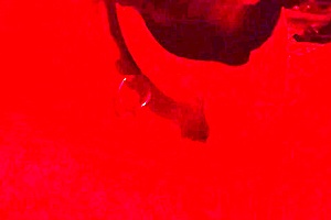 Obedient whore, swallow my load blindfolded asmr?