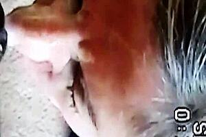 milf begs for huge facial cumshots keep em coming!