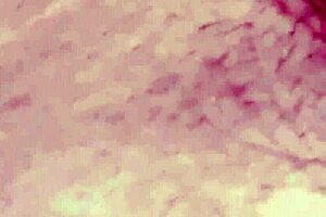 white teen 18+ moans loud gettin fucked deep by small cock black mature boyfriend close up